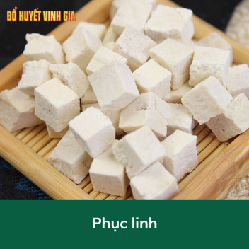 Phục linh- Dược liệu quý cho sức khỏe và sắc đẹp